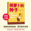 胡萝卜的种子 商品缩略图0