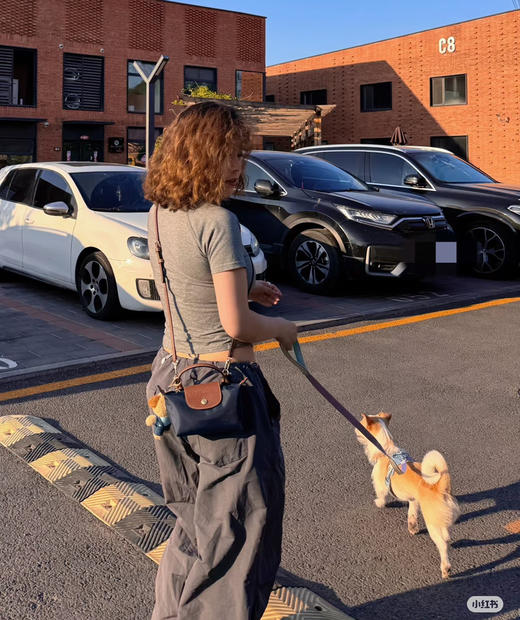 珑骧 Le Pliage Original 迷你手提饺子包9.3 商品图8