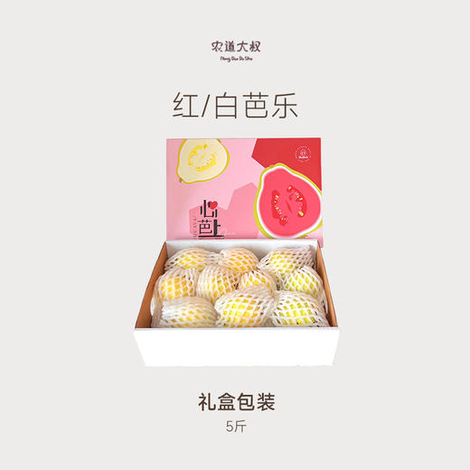 【豆豆LAB】红白心芭乐双拼  软硬双吃  5斤礼盒 商品图0