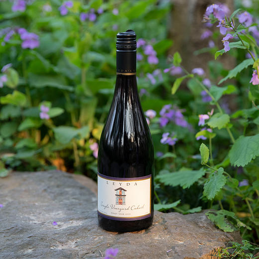 智利跃奕德酒庄卡维单一园黑品诺干红葡萄酒2019 商品图0