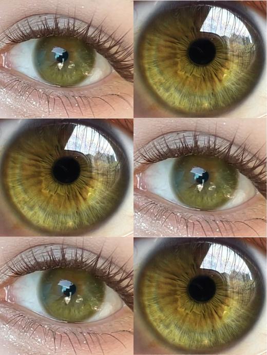 chonos日抛 糯糯青山 绿/雾岛呼吸 蓝紫 14.5mm 一盒十片装 日抛无售后！！ 商品图0