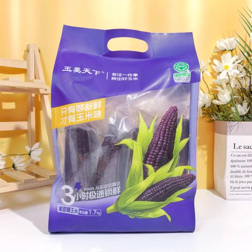 【蒙粮农老头】有机紫甜糯玉米 内蒙沙土地 只有够新鲜 才有玉米味 非速冻 非转基因 黑糯玉米 商品图0