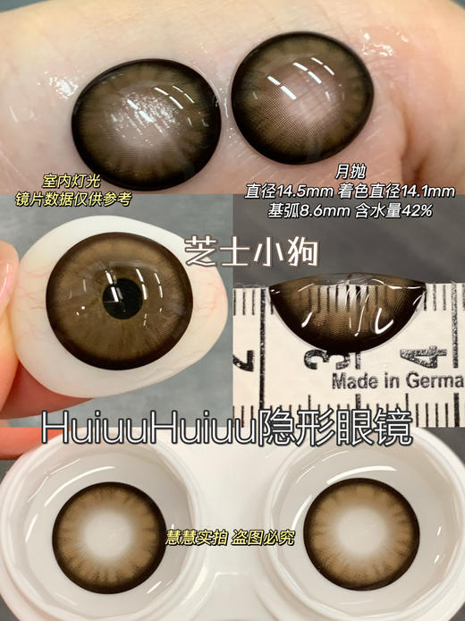 新品月抛大直径-Macycon-可爱比熊-萌萌贵宾-芝士小狗-14.5mm【月抛 0-800度 不含525/575】 商品图1