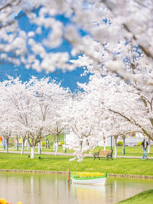 花田美地丨武义花之秀庄园酒店/安琪儿/丹尼尔酒店×1晚或2晚套餐 商品图0