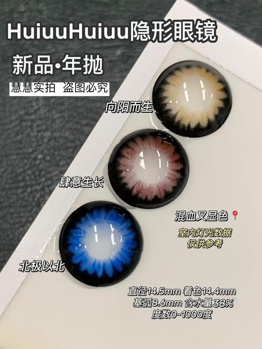 【大直径年抛】混血新品-Sheepcon-向阳而生/北极以北/肆意生长-14.5mm【年抛 0-1000度 含525/575】 商品图0