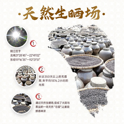 珠江桥牌 阳江姜豉300g 商品图2