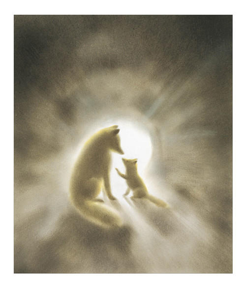 小狐狸阿权（2018版）+小狐狸买手套（2018版） 2册 商品图2