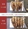 【产地京东直发】头茬天目山九狮村春笋 4斤 商品缩略图8