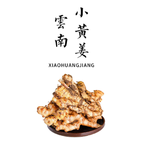 生态小黄姜 250g| 产地：云南楚雄，露天种植