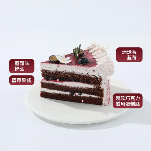 【蓝莓鲜果乐园】春日鲜果蛋糕，鲜爽蓝莓解腻，蛋糕胚松软绵密，酸甜交织，甜而不腻，一口尽享清新酸甜 商品图5