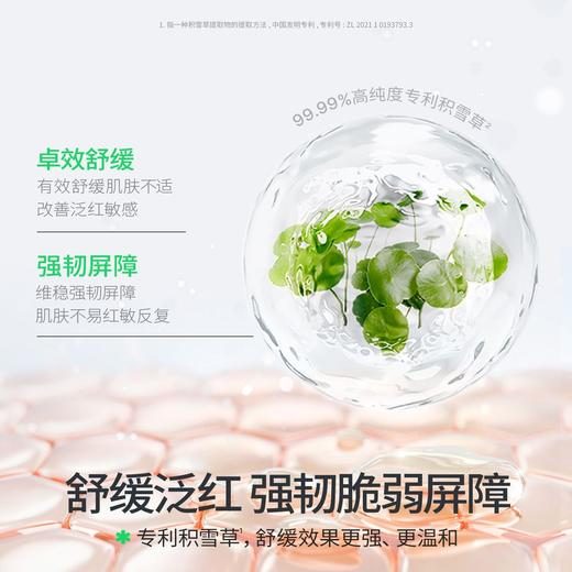 【源码】海龟爸爸积雪草精粹霜面霜婴幼儿宝宝保湿霜补水修护霜洁面护肤50g 商品图7