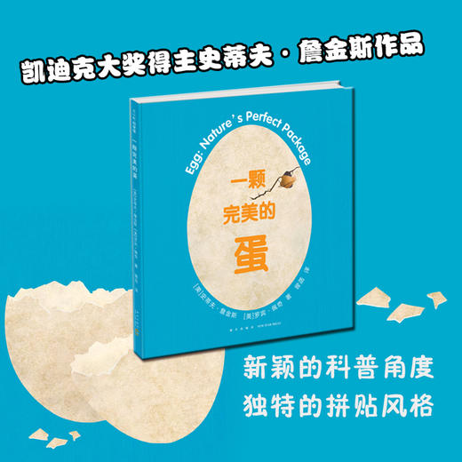 【詹金斯作品专场满49包邮】一颗的蛋 商品图1