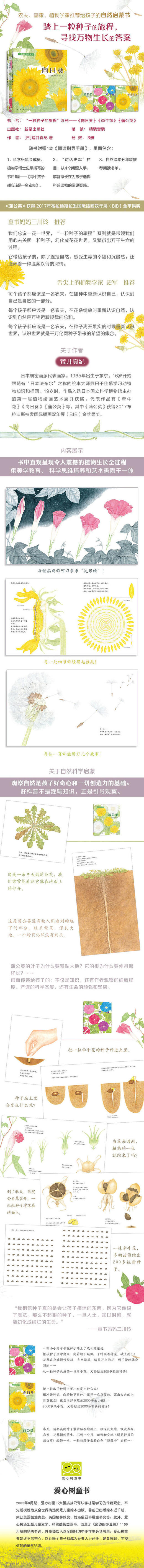 蒲公英 商品图1