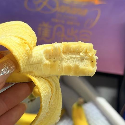 空运！海南纯树熟佳丽超甜香蕉【净重约3斤】 商品图0