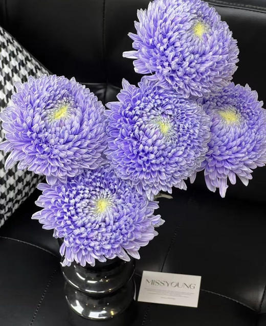 72小时顺丰云南发货【富贵牡丹菊】花头直径约7cm，花枝长60cm，花语：圆满、浓情、富贵！春季迎进牡丹菊，今年富贵盈盈~新年喜庆又好看⭕本来实发4支，为防止运输途中磕碰损伤，现改为实发5支⭕鲜花 商品图2