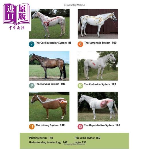 预售 【中商原版】马匹解剖学与运动表现 训练 骑乘和马匹护理实用指南Horse Anatomy for Performance 英文原版 Gillian Higgins 商品图1