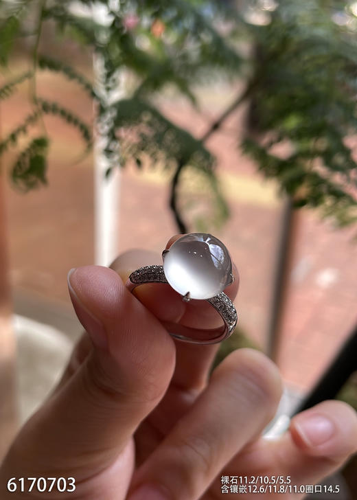 6170703，蛋面戒指。具体价格微信咨询 商品图3