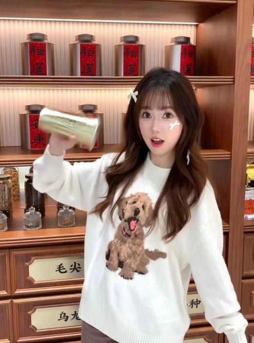 F032041春季新款男女同款提花金毛小狗圆领针织长袖毛衣 商品图7