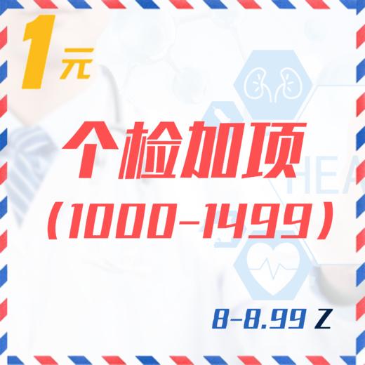 个检加项（1000-1499  8-8.99Z） 商品图0