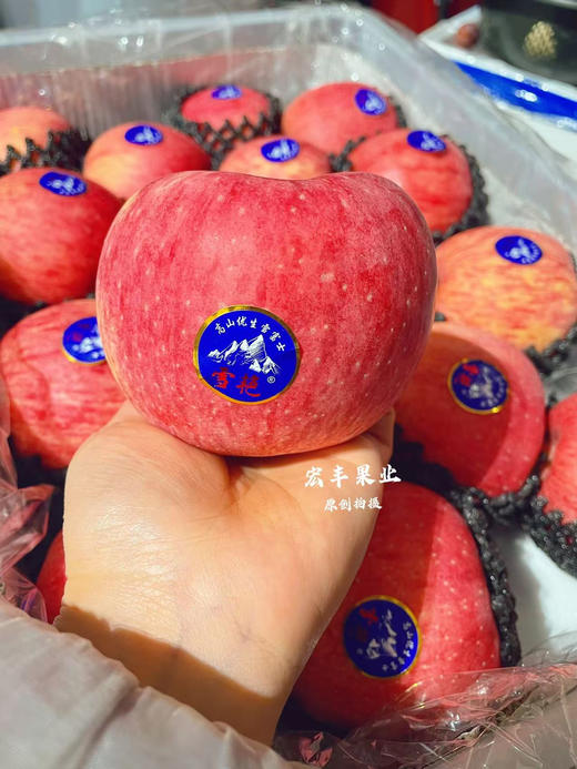【宏丰精选】灵宝雪艳苹果，皮薄脆甜，纯甜苹果 活动价12.8元一斤 商品图4