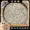 白扁豆  生白扁豆 商品缩略图0