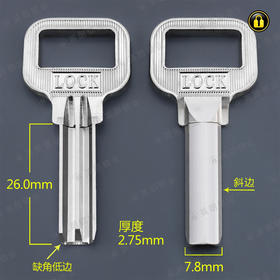 〖2022〗大柄LOCK原子(缺角26)