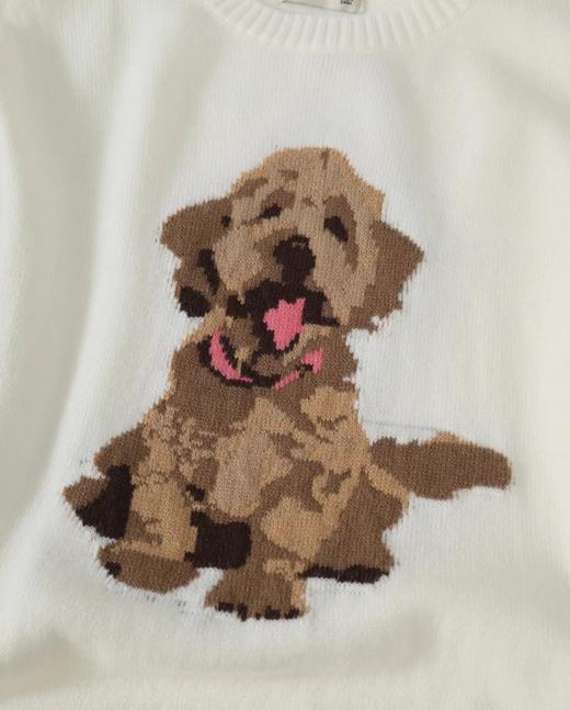 F032041春季新款男女同款提花金毛小狗圆领针织长袖毛衣 商品图2