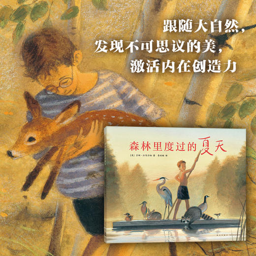森林里度过的夏天 商品图1