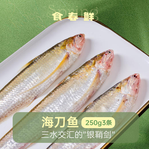 冰鲜丨海刀鱼 250g/3条 老饕心头好 鳞片全 鲜度高 弱骨柔肌 鳞如细浪 商品图0