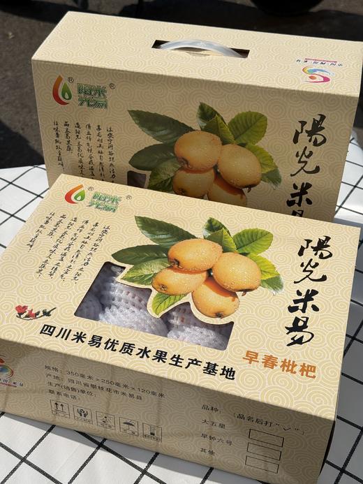 四川米易甜枇杷 商品图5