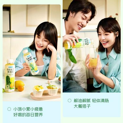 二次方羽衣甘蓝青提茶500ml 商品图3
