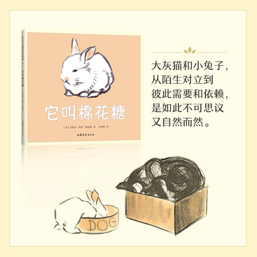 它叫棉花糖 商品图1