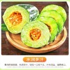 【山东博洋9号】包甜，头茬甜瓜，新鲜当季水果，香瓜蜜瓜羊角脆，产地直发 商品缩略图1