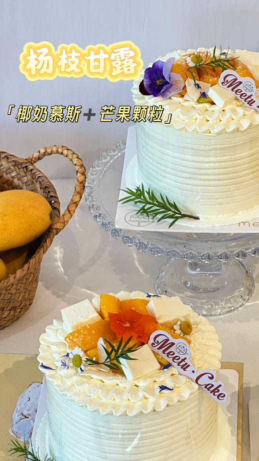 杨枝甘露（五寸） 商品图1