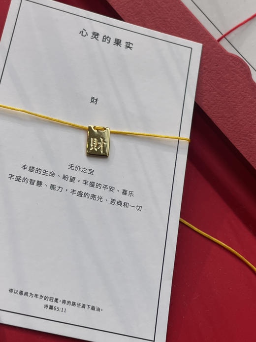 Project Lazarus | TOO COOL 财 福 康 诚 商品图1