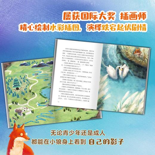 少年狼双册套装 商品图2