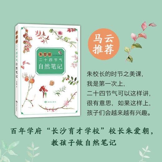 朱爱朝二十四节气自然笔记 商品图1