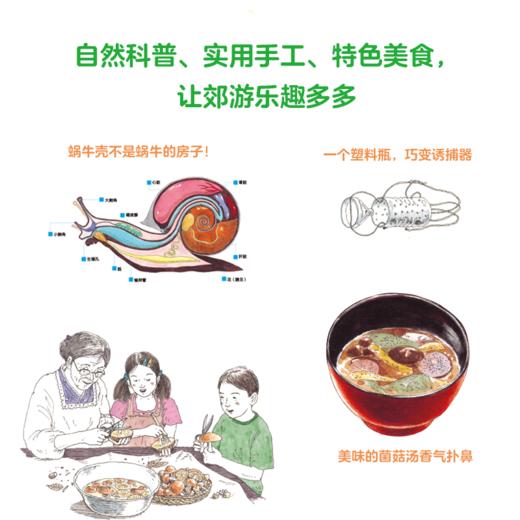 山野郊游图鉴  日本小学馆第58回儿童出版文化赏 商品图2