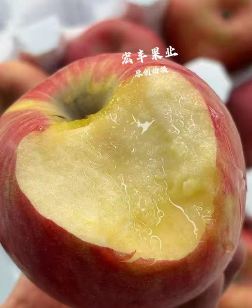 【宏丰精选】灵宝雪艳苹果，皮薄脆甜，纯甜苹果 活动价12.8元一斤 商品图1