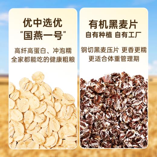 【麦麦SY】好麦多国燕一号有机黑麦燕麦片420g/袋|无添加糖懒人营养早餐独立小包装 商品图6