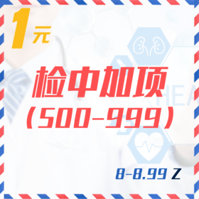 检中加项（500-999  8-8.99Z）
