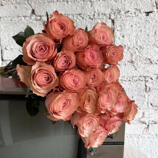 玫瑰.和弦 商品图1