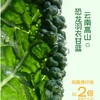 二次方羽衣甘蓝青提茶500ml 商品缩略图2