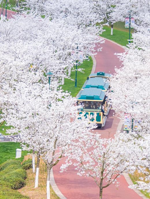 花田美地丨武义花之秀庄园酒店/安琪儿/丹尼尔酒店×1晚或2晚套餐 商品图2