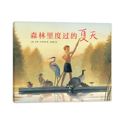 森林里度过的夏天 商品图3