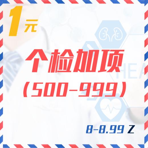 个检加项（500-999  8-8.99Z） 商品图0
