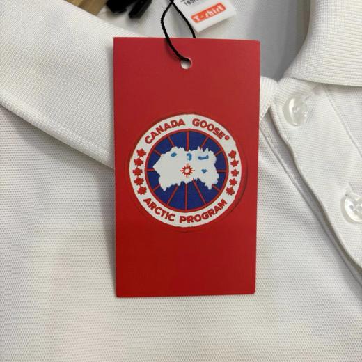 F0320101珠地棉简单大方穿着方便商务休闲正肩短袖T恤POLO衫 商品图9