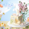 白羊座蛋糕【花与光的春日邂逅】1.5磅 香草奶油芒果夹心口味 商品缩略图3