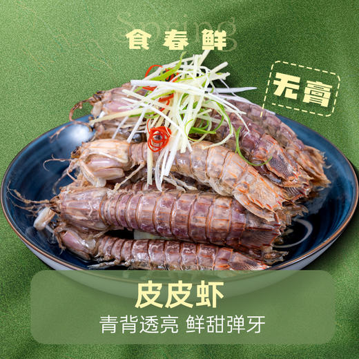 冰鲜 | 无膏皮皮虾 1200g/份（36-48只左右）青背透亮 鲜甜弹牙 商品图0