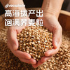 Avocadodo纯荞麦粉面粉无小麦麸质低脂杂粮糖友敏宝牛油果果桥本 商品缩略图1